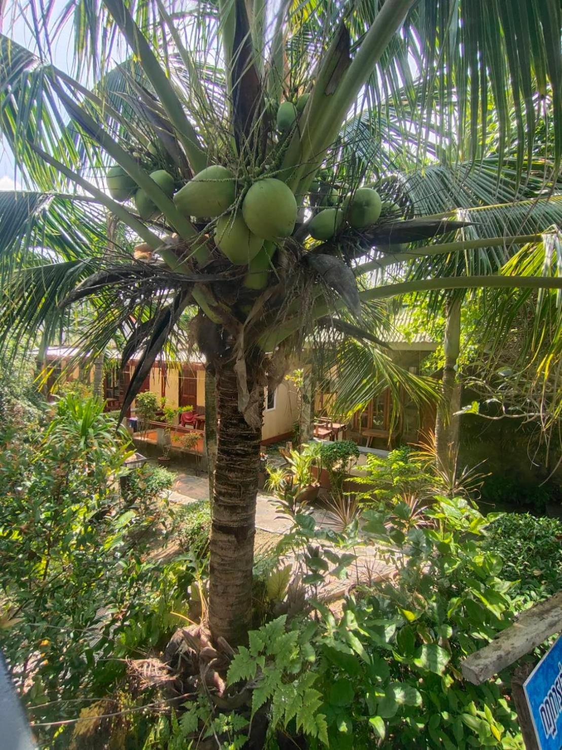 Lanta Riviera Beach Resort Koh Lanta Exterior photo